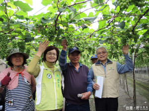 農糧署補助措施繁雜嚴苛　分署長聆聽宣布將補助辦法放寬