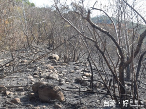 大甲鐵砧山南邊日前發生公墓火災，火勢延繞到山頭，市議員李榮鴻

質疑火情不單純，要求政風及檢調單位徹查。（記者陳榮昌攝）