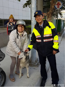 警助犬隻返回飼主懷抱 重逢的喜悅畫面超暖