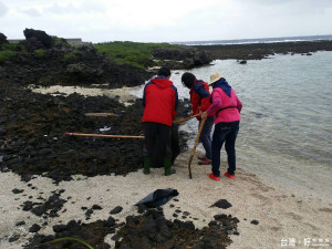 綠島海岸遭排廢油污染　黃健庭震怒：全力追元兇 