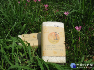 玉山下的第一畝田所種出的有機「玉山瓦拉米」。