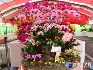 國光花市辦蘭花大展。（圖／林重鎣攝）