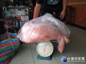 賴某偷的大塊豬肉。林重鎣攝