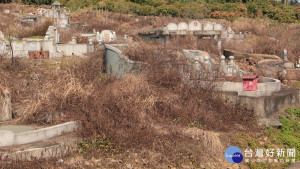 南投市公所在各公墓噴藥除草。（記者扶小萍攝）