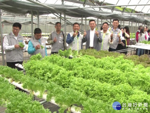 探訪有機生菜園 香山微旅走透透