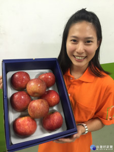 蘋果禮盒