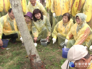 傳承社區種家樹經驗 民富交棒中雅里