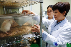 台灣紅藜近期興起養生食物　大葉大學發表研究成果