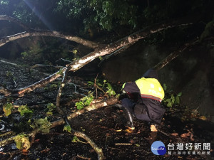 警方冒雨鋸樹。林重鎣攝