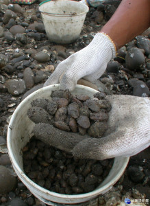 農業局六月起禁建興里一帶海域，禁捕「赤嘴仔」二年，引來地方嘩

然，建興里長蔡明河籲請考慮居民的生活，迅以研究配套，以防受罰

紛爭。（記者陳榮昌攝）
