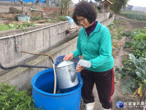 畜牧場將發酵後的養豬沼液沼
