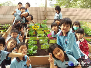 何厝國小學童在校園種菜
