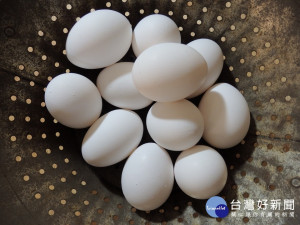 繼南韓、歐洲等地出現芬普尼雞蛋後，農委會防檢局昨確認國產雞蛋驗出數據偏高的芬普尼，有3間蛋雞場被驗出雞蛋殘留農藥芬普尼。（圖／Pixabay，非當事蛋品）