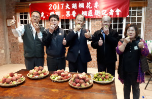 大湖桐花季五月六日登場。（記者許素蘭／攝）