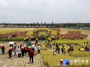 屏東熱帶農業博覽會，割稻競賽慶豐收。（圖／屏東縣政府觀光傳播處提供）