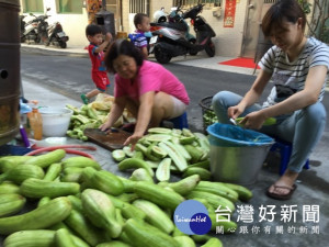 大甲區近來有些婦女群集一起切越瓜，把剖開的瓜體放置牆上曬太陽

，醃製古傳風味的「鹽瓜仔」。（記者陳榮昌攝）