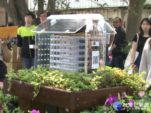 給野蜂一個家 竹市將設立20座監測站