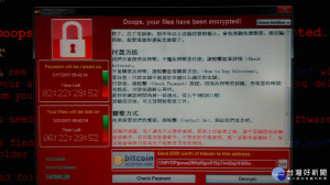 勒索病毒肆虐　國安局：台灣185台電腦中標（圖／民眾提供）
