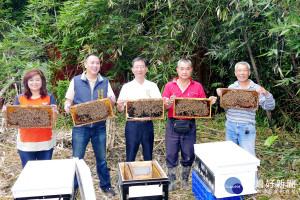 魚池鄉公所鄉長陳錦倫（右3）、農會理事長劉啟行（左２）一起到頭社盆地施放10萬隻蜜蜂，盼透過小蜜蜂「嗡嗡嗡」辛勤採蜜授粉下，能兼顧生態環保，提升絲瓜質量。