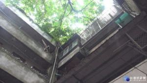 北一女教師舊宿舍整修活化　打造NPO實驗基地