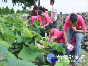 后里中社觀光花市為迎接暑到來，二十二日推出千坪的荷花季，惠明

西羅亞樂團到場演奏，並以感觸高興的參賞荷花。（記者陳榮昌攝）