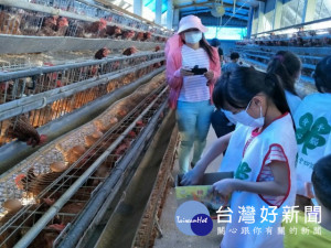 35位大甲德化國小小朋友，三日在老師們的陪同參加農會舉辦檢雞蛋

裝箱活動，個個高興的篩檢，並獲得蛋之營養、好知識。（記者陳榮昌攝）