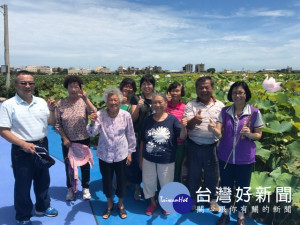 大安區76歲農民林祥雄喜歡蓮花，打造一優美的蓮花園，粉紅蓮花迎

風搖曳美不勝收，區長周琇茹五日陪同一群長輩前往參觀，直說「好
美、好美」。（記者陳榮昌攝）