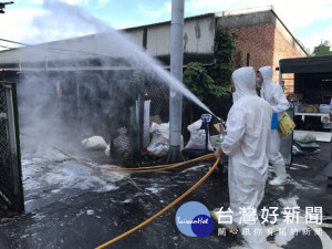 大安區一家禽場雞隻出現異常死亡，經確診為H5亞型高病原性禽流感

，台中市動物保護防疫處昨日撲殺場內土雞2115隻，並進行消毒防疫

工作。（記者陳榮昌攝）
