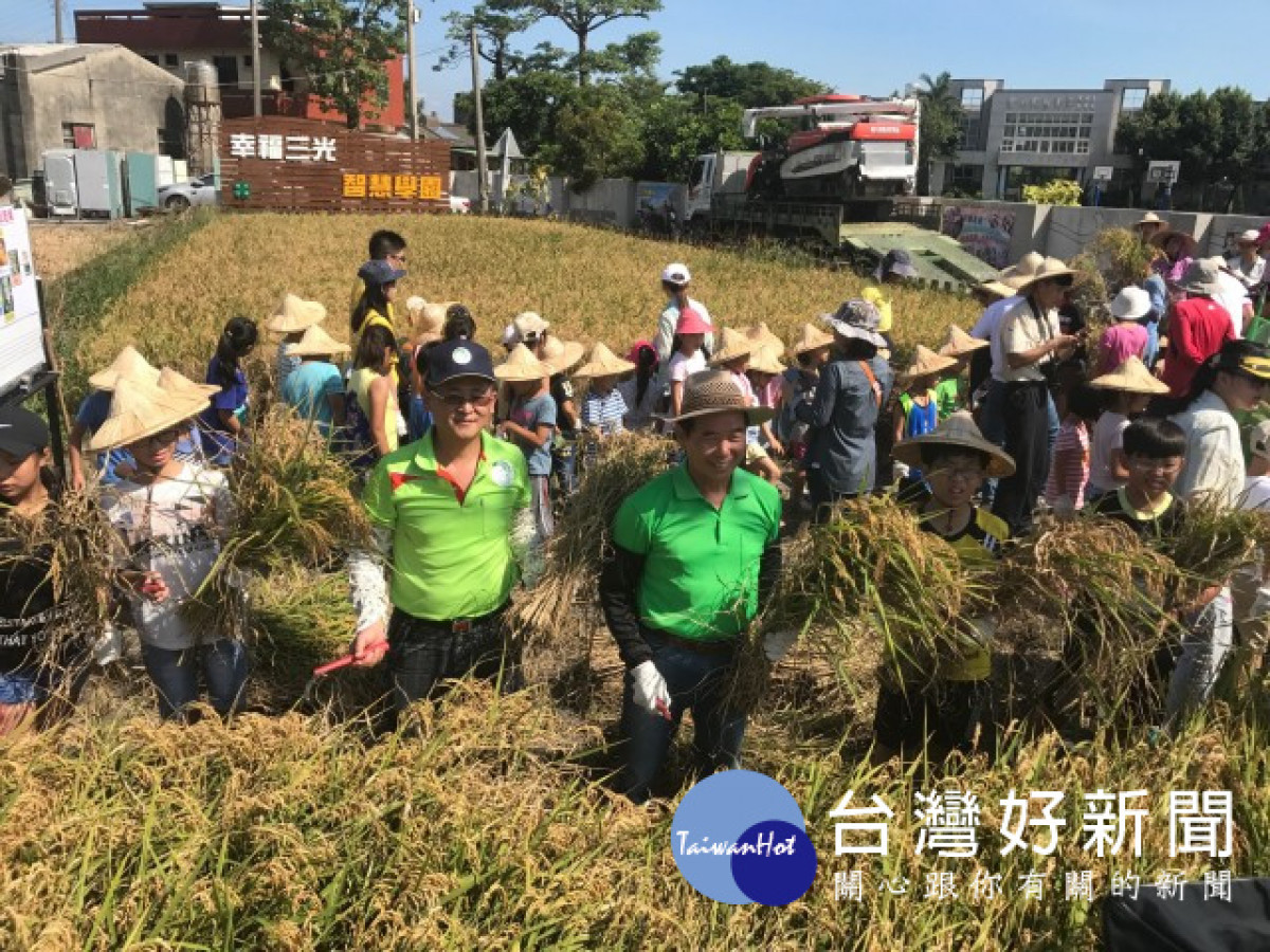 學童種稻四個多月歡呼中收割成果 台灣好新聞taiwanhot