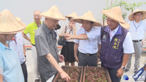 天山里綠屋頂成果豐　黃大洲分享經驗
