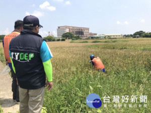 環保局說明鄰近滲眉埤農地污染調查進度 。