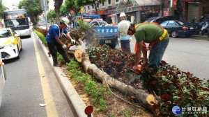 尼莎颱風一晚的強風肆虐下，造成市區多處樹倒情形，北市工務局全力動員進行救災。