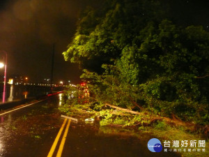 大里仁堤路樹倒。林重鎣攝