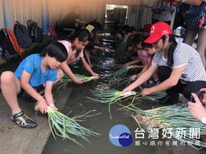 二十餘位由各地而來的國中、國小學生十日抵大安區參加106年度永

續農業夏令營活動，清洗青蔥時，體驗農民務農的辛苦，了解珍惜農
產食物。（記者陳榮昌攝）