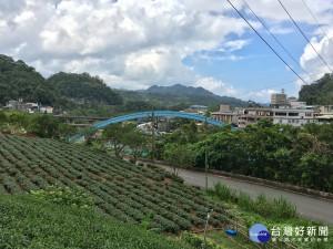 坪林之美攝影比賽 即日起收件