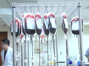 減除白血球血小板 降緩病患輸血反映