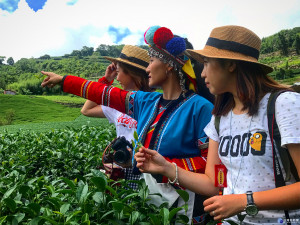 阿里山國家森林遊樂區「里山里地里海－人與環境的共榮」展覽活動開跑嚕!