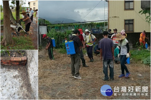 三星鄉大隱村出現蟲蟲大軍，引發人蟲大戰。（圖／三星鄉公所提供）