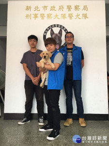 動保處為警犬們注射晶片辦理寵物登記，讓牠們正式成為有身分證的警犬。（圖／記者黃村杉攝）