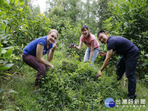 瑞士草根大使( 左) 到大里參訪。林重鎣攝