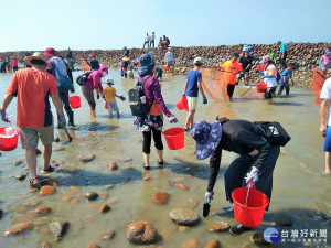 傳承先民的捕魚智慧　500名親子體驗石滬趣　