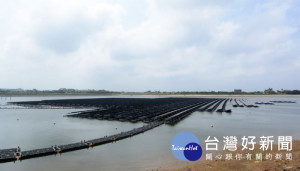 觀音區8-20號池首座大型光電埤塘。
