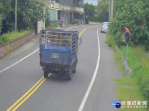 偷牛賊專挑地處偏僻下手　苗警抽絲撥繭逮獲犯嫌