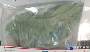 台北市衛生局23日公布9月的市內生鮮蔬果檢驗殘留農藥含量檢測結果，環南市場一間攤商販賣的豌豆，被驗出不得檢出的滅菌劑達克利。(（圖／台北市衛生局）
