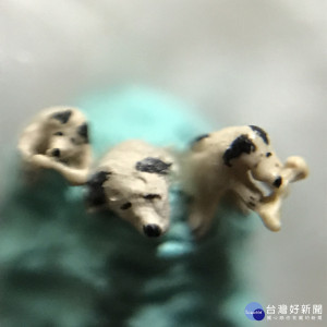 克服高難度　毫芒雕刻家陳逢顯雕刻世界最小狗
