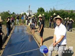 修平科技大學與外埔青農合作假外埔區三崁里農田首辦「大學生體驗友

善農作」，三十二位大一新生，在老師帶領下，興趣極高的共同種植三分地的栗南瓜。（記者陳榮昌攝）