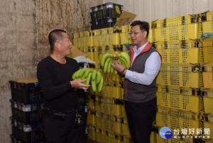 縣府農業處處長陳瑞慶〈右〉關心香蕉產地的價格及運銷情形。