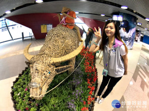 花彩節車站裝置藝術超吸睛  桃捷女孩帶你捷乘賞花去