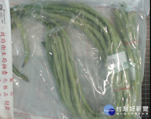 台北市衛生局14日公布10月份市內零售業者的生鮮蔬果檢驗結果，量販店大潤發內湖一店販賣的台灣菜豆，被驗出殺蟲劑Abamectin 阿巴汀殘留超標。（圖／台北市衛生局）