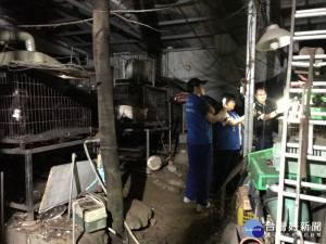 動保處查獲隱密藏身於三峽山區的非法繁殖狗場。（圖／動保處提供）